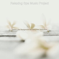 Modern Music for Tranquility - Relaxing Spa Music Project