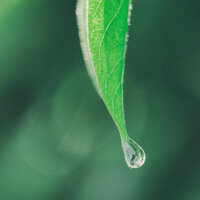 Stillness - Mouni Mantra