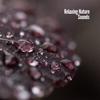 Tumbling Down - Nature Sounds