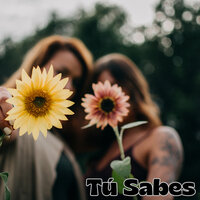 Tú Sabes - Son Paraná & Son Andino