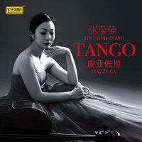 撩情 - 张莹莹 & 杨晓勇 & 刘昭