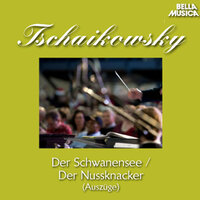 Schwanensee für Orchester und Violine, Op. 20 A: No. 3, Tanz der Schwäne - Bamberger Symphoniker & Franz Berger & János Kulka & Пётр Ильич Чайковский