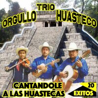 El Gallo - Trío orgullo Huasteco
