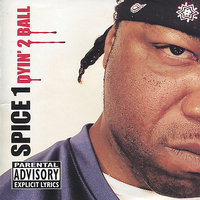 Rude Boy - Spice 1