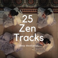 Instrumental Nature Music - Soothing Therapy