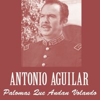Palomas Que Andan Volando - ANTONIO AGUILAR