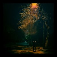 White Oak - Clint Heidorn