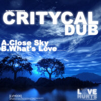 Whats Love - Critycal Dub