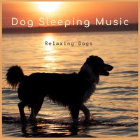 Relaxing Dogs Vibes-7 - Dog Sleeping Music