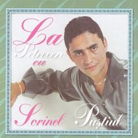 Parfum De Femeie - Sorinel Pustiu'