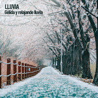 Meditación con lluvia - The Rain Library & Rain Sounds ACE & Rain Sounds For Sleep