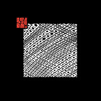 Aconites - The Vision Reels & Owl