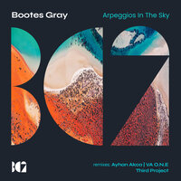 Hidden - Bootes Gray