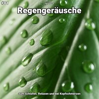 Regengeräusche, pt. 70 - Henrik Picot