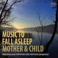 Music to Sleep - Baby Sleep Music - Max Relaxation & Torsten Abrolat & SyncSouls