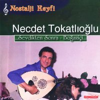 Koş Gel Artık Kollarıma - Necdet Tokatlıoğlu