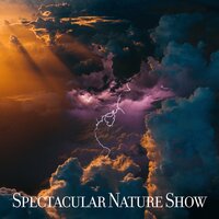 Magical Mood - Calm Music Masters Relaxation