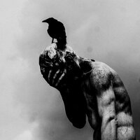 Hide My Face - dalhia