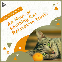 Soft Ambience in the Forest - Cat Music Hour & Cat Music & Kitten Music