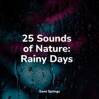Birds Singing by a Waterfall - Relaxing Music Therapy & Sleeping Music & Natural Sample Makers