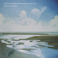 You Don't Know What You've Got 'Till It's Gone (Primer Dark II) - Martin Fondse & Starvinsky Orkestar