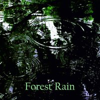 Rain in the Forest - Rain Masters From TraxLab