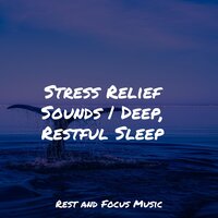 Beautiful Moonlight - Massage Therapy Music & Deep Sleep Music Delta Binaural 432 Hz & Hipnose Natureza Sons Coleção