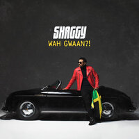 Money Up - Shaggy & Noah Powa
