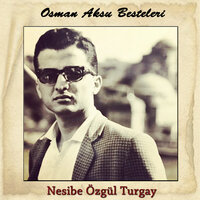 Küçük Esmer Çiçekler - Nesibe Özgül Turgay