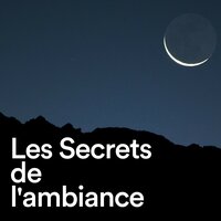 Chanson Douce Pour Dormir - Zen Musique Détente