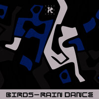 Rain Dance - Birds