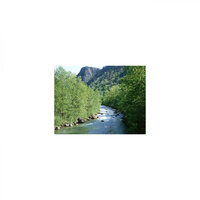 Heart and Refresh - Mindfulness Healing BGM Project
