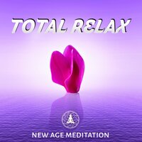 Shinning Sun - Total Relax Zone