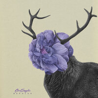 Outrospection - Ours Samplus