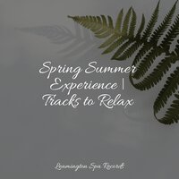 Peace and Tranquility - Rain Man Sounds & Tranquility Spa Universe & Rain Sounds For Sleep