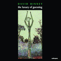 See How Fine My Address Was - David Binney