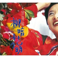 Dignity - Tseng Chi Yu & Lin Zheng-Zhong