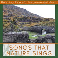 Good Morning (Relaxation) - Miley Soundscapes