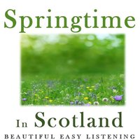 Whisky in the Jar - Celtic Spirit