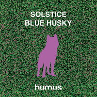 Blue Husky - Solstice