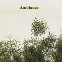 Ambiance - Gabb. & Racasse