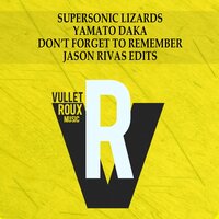 Don't Forget to Remember - Supersonic Lizards