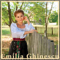 Am Pe Suflet Un Păcat - Emilia Ghinescu