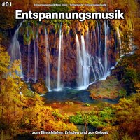 Entspannungsmusik zur Heilung - Entspannungsmusik & Schlafmusik & Entspannungsmusik Bodo Steier