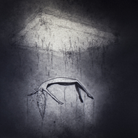 Sidewalk - Volor Flex & Encode
