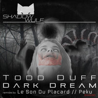 Dark Dream - Todd Duff & Le Son Du Placard