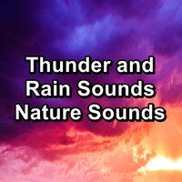 Soothing Rain For Quiet Nights To Relax and Loop for 8 Hours - The Rain Library & Heavy Rain Sounds & Rain Storm Sounds