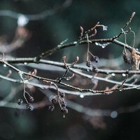 Binaural Crystal Waves - Brain Timbre & Nature Sounds Nature Music & Binaural Landscapes