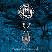 Vigil In A Wilderness of Mirrors - Fish