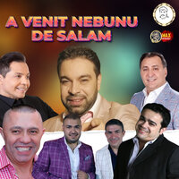 Daca te mariti cu mine - Florin Salam & Adrian Minune & Nicolae Guta & Jean de la Craiova & Vali Vijelie & Narcis